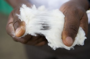 Spracovanie bavlny