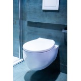 wc_doska_biela