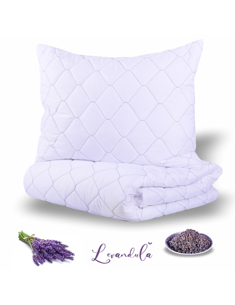 Set_prikryvky_a_vankusa_Levandula_140x200 70x90_EMI