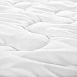 slovenske_paplony_EMI