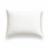 Vankus_35x45_antialergicky_EMI_standard