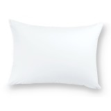 Vankus_50x70_antialergicky_EMI_standard