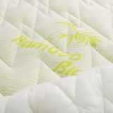 emi_bamboo_chranic