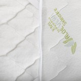 aloe_vera_chranic