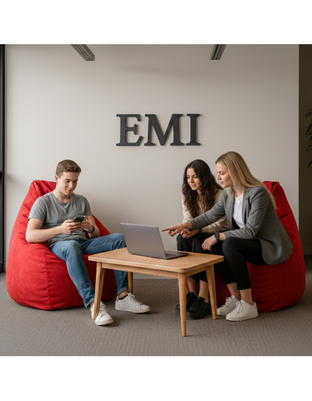 Sedací vak do pracovne EMI