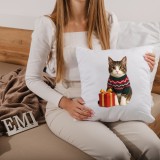 vankus_s_potlacou_macky_emi
