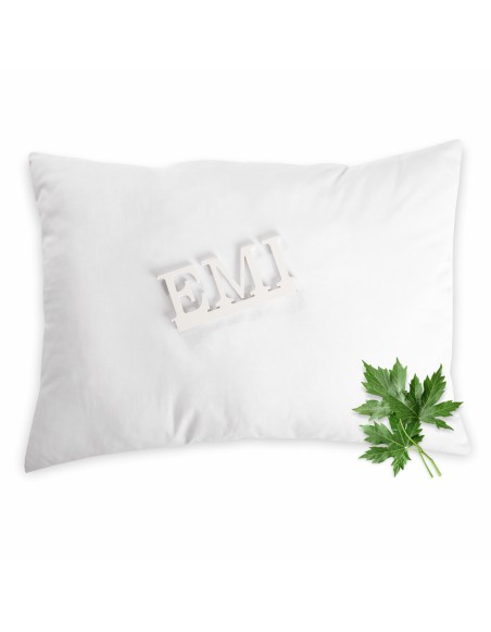 aromaticky_vankus_s_palinou_emi