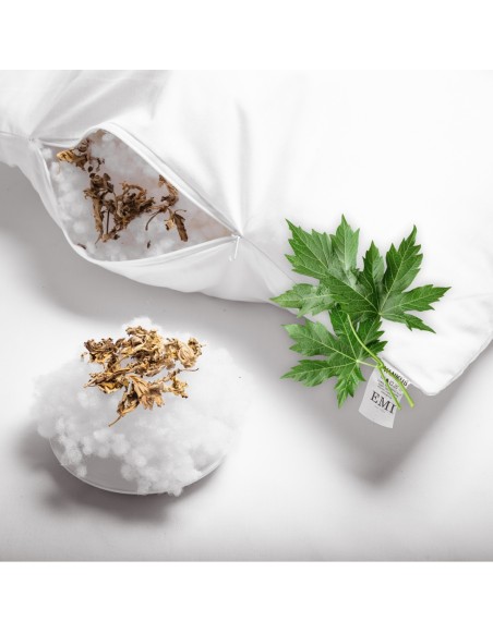 vonavy_vankus_mugwort_emi