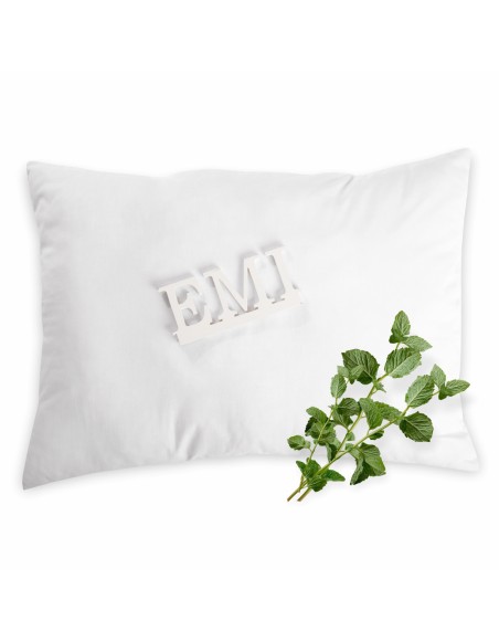 vonavy_vankus_s_matou_emi