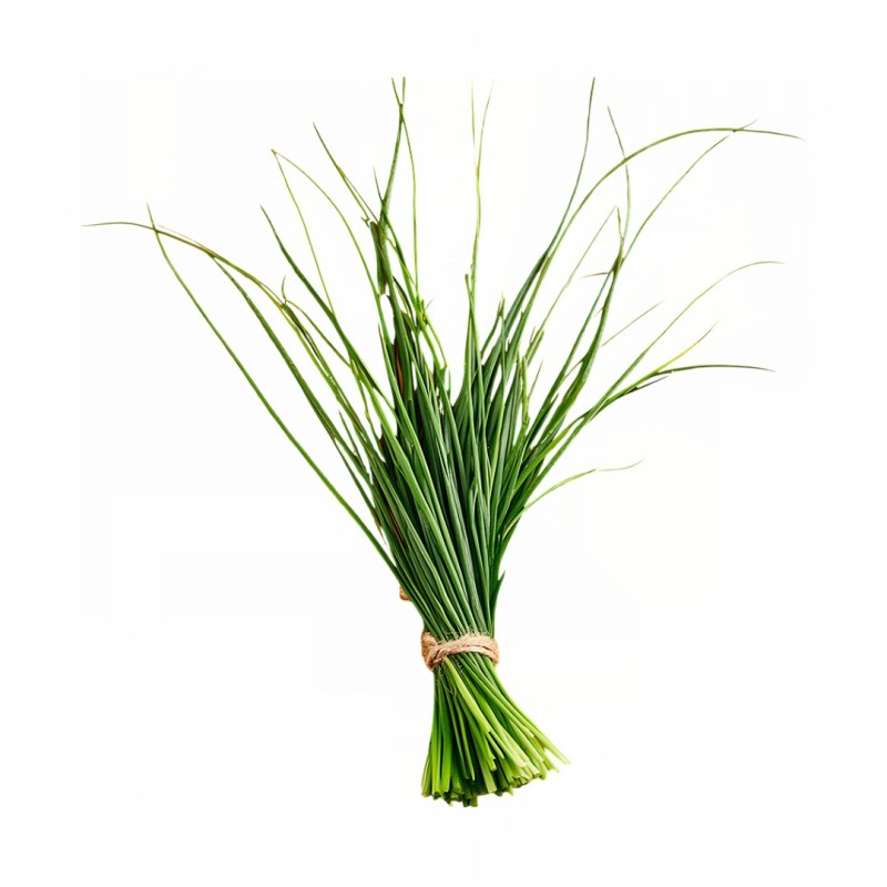 Aromatický vankúš Lemongrass 50x70 cm EMI
