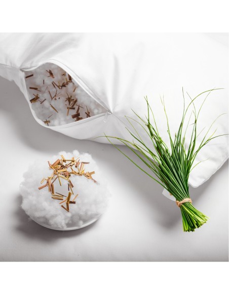 vankus_s_citronovou_travou_emi