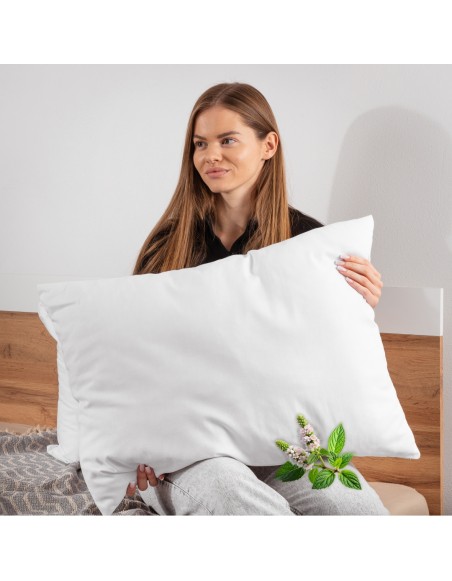 aromaticky_vankus_medovka_lekarska_emi