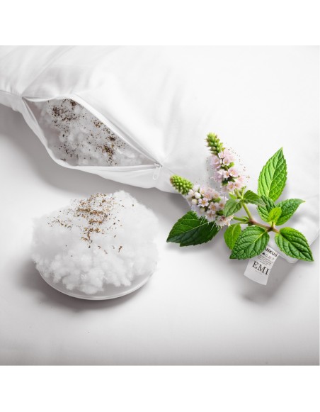 vonavy_vankus_medovka_lekarska_emi