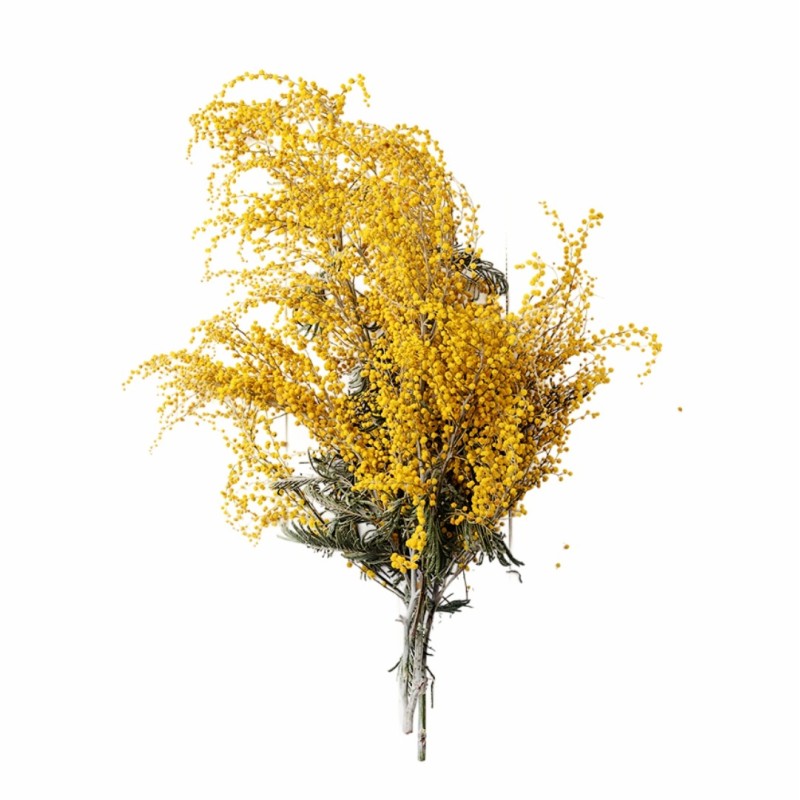 Aromatický vankúš Albizia 50x70 cm EMI