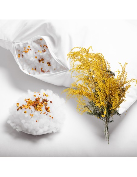 vonavy_vankus_albizia_emi