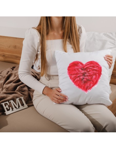 vankus_s_potlacou_emi