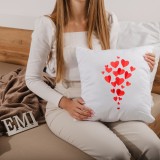 vankus_s_potlacou_emi