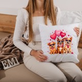 vankus_s_potlacou_emi