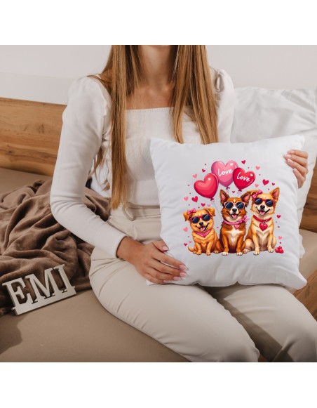 vankus_s_potlacou_emi