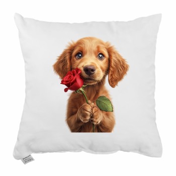 dekorativny_vankus_maxie_emi