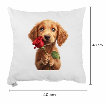 valentisky_vankus_emi