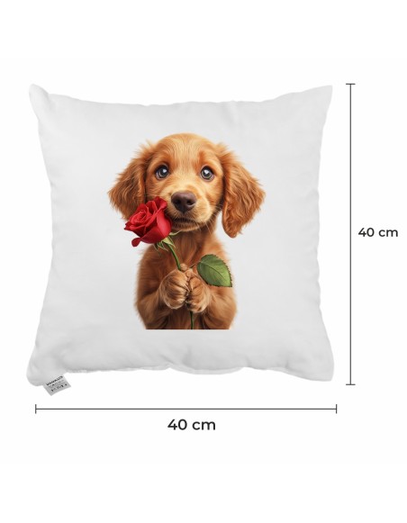 valentisky_vankus_emi