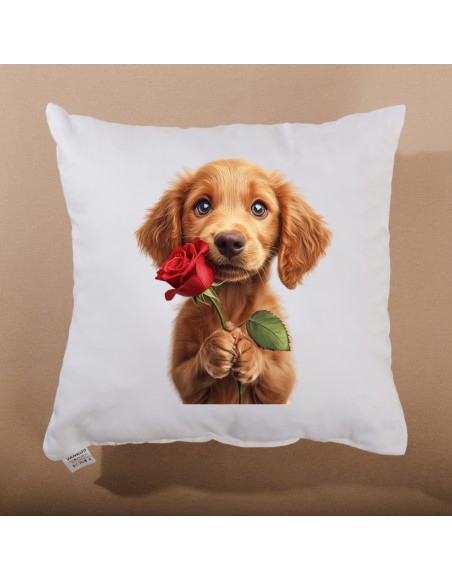 vankus_s_potlacou_maxie_emi