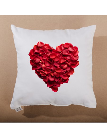 valentinsky_vankus_emi