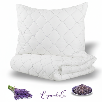 Set_prikryvky_a_vankusa_Levandula_140x200 70x90_EMI