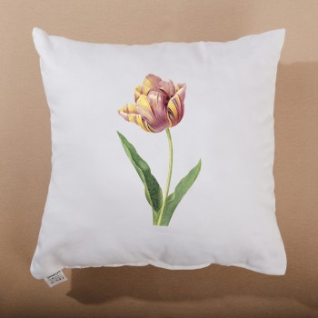 vankus_s_kvalitnou_potlacou_emi