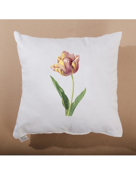 vankus_s_kvalitnou_potlacou_emi