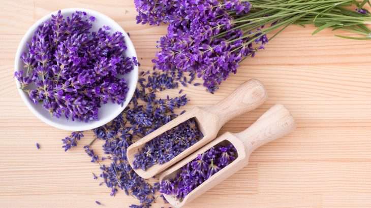 vzglavnik_lavanda