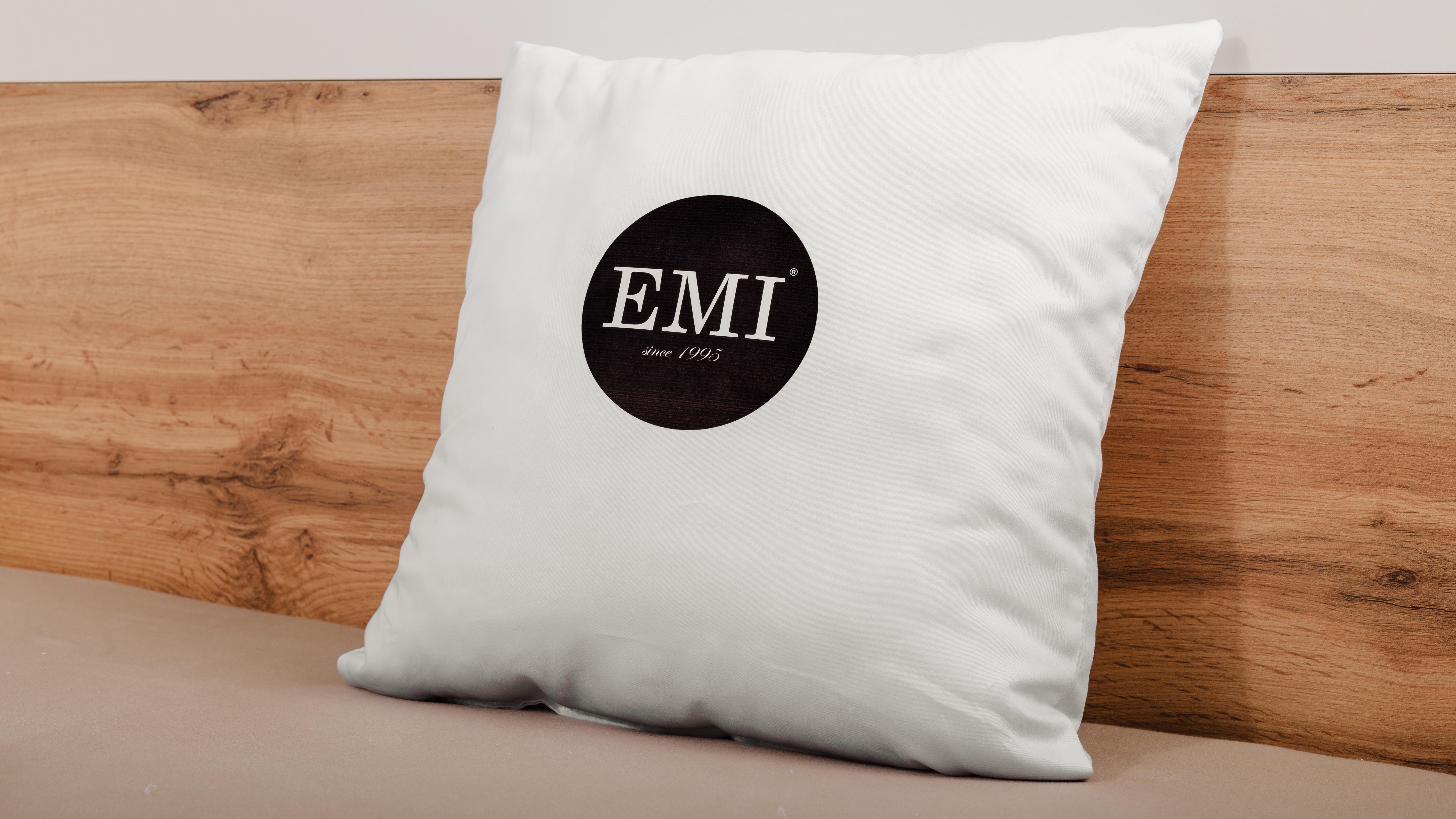 vankus_s_logom_emi